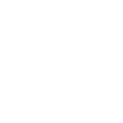 When my pet dies.